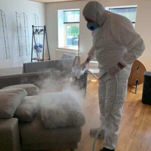 Skægkræ: Myter, fakta og ekspertråd til bekæmpelse