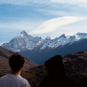 Gaia: Symbiosen mellem rå naturkræfter og raffineret møbelkunst