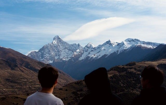 Gaia: Symbiosen mellem rå naturkræfter og raffineret møbelkunst
