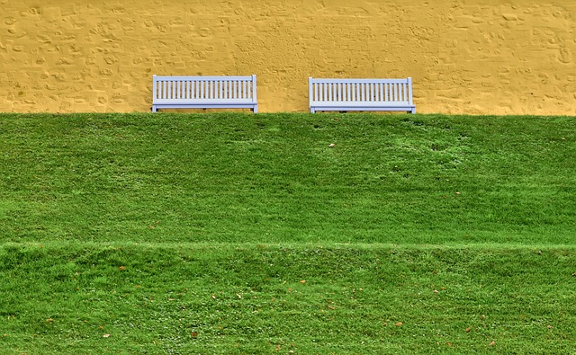 Grønne fliser? Sådan får du en algefri terrasse uden at sprænge budgettet