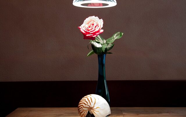 Et twist på traditionen: Moderne pendeldesigns, der bryder med konventionerne