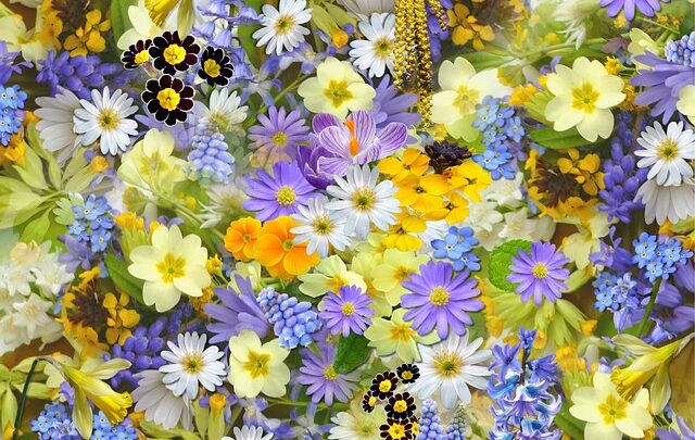 Saml og tør: Gør LEGO's tørrede blomster til en del af din samling og skab unikke arrangementer