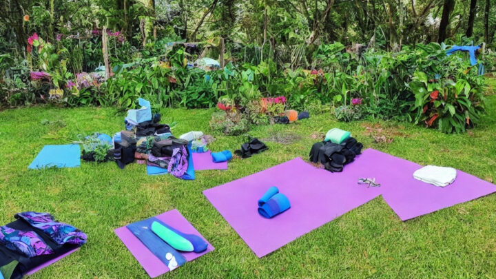 Knæpuder til forskellige aktiviteter: Hvordan vælger du den rigtige til yoga, havearbejde og meget mere